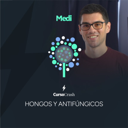 Curso crash Hongos y Antifungicos